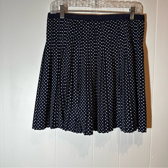 J. Crew Blue and White Polka Dot Skirt Size 4 - Picture 6 of 9